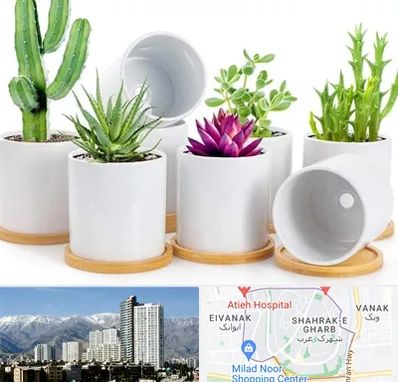 فروش گلدان سرامیکی در شهرک غرب 