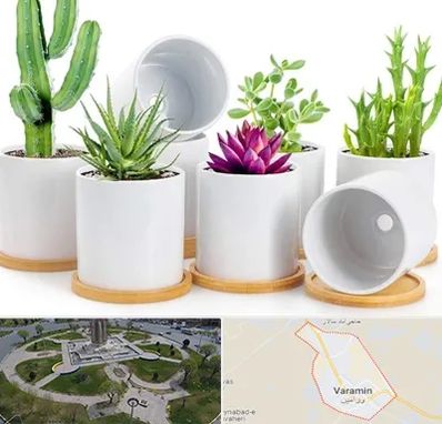 فروش گلدان سرامیکی در ورامین