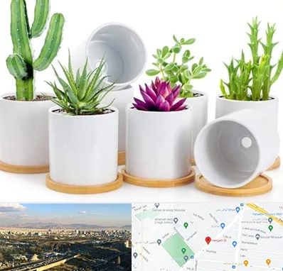 فروش گلدان سرامیکی در هنگام 