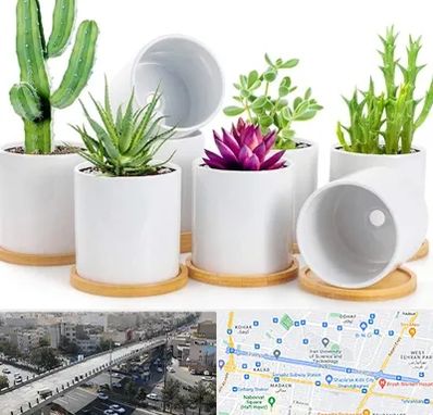 فروش گلدان سرامیکی در فرجام 