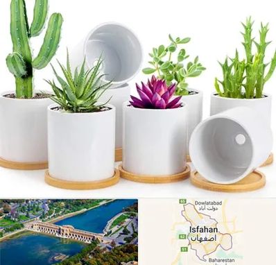 فروش گلدان سرامیکی در اصفهان