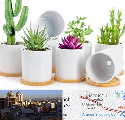 فروش گلدان سرامیکی در فرمانیه 