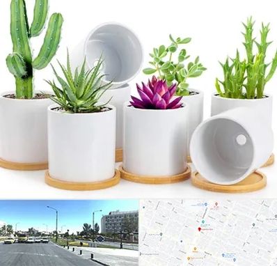 فروش گلدان سرامیکی در بلوار کلاهدوز مشهد 