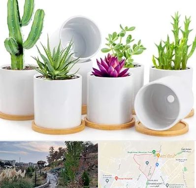 فروش گلدان سرامیکی در باغستان کرج 