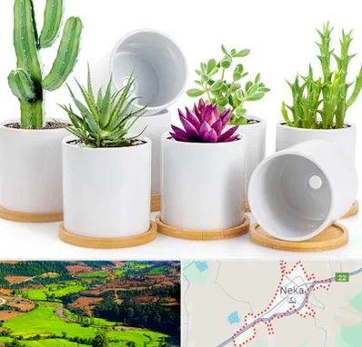 فروش گلدان سرامیکی در نکا