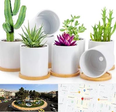 فروش گلدان سرامیکی در هفت حوض 