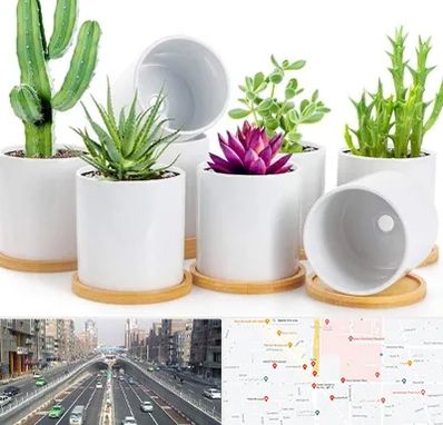 فروش گلدان سرامیکی در توحید 