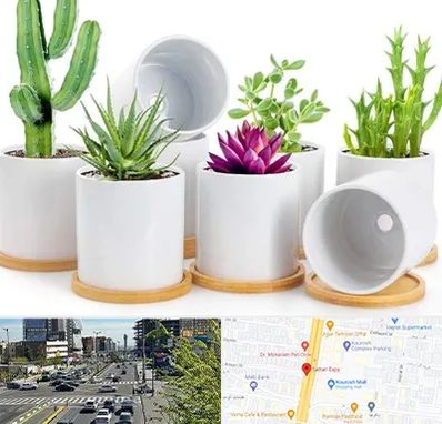 فروش گلدان سرامیکی در ستاری 