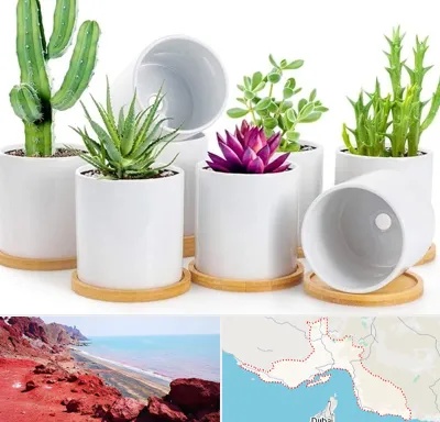 فروش گلدان سرامیکی در هرمزگان