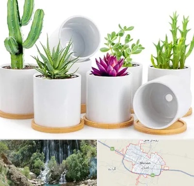فروش گلدان سرامیکی در شیروان