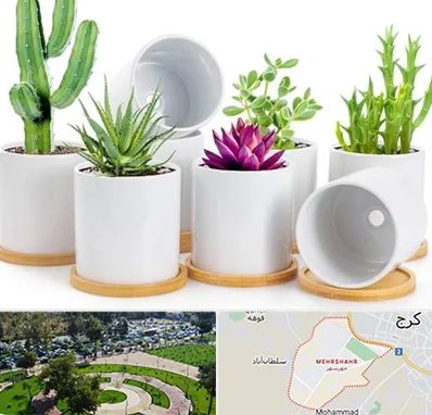 فروش گلدان سرامیکی در مهرشهر کرج 