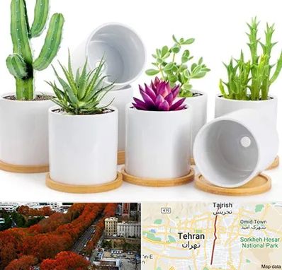 فروش گلدان سرامیکی در ولیعصر 