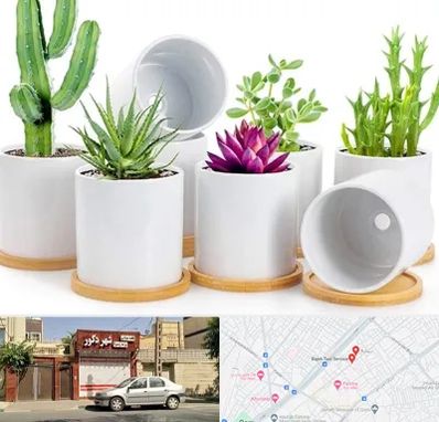 فروش گلدان سرامیکی در باجک قم