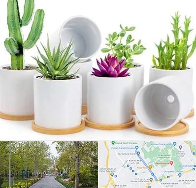 فروش گلدان سرامیکی در قدوسی غربی شیراز 