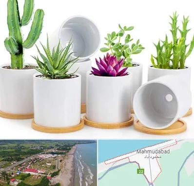 فروش گلدان سرامیکی در محمودآباد