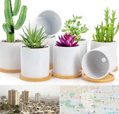 فروش گلدان سرامیکی در منطقه 5 تهران 