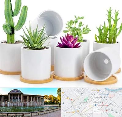 فروش گلدان سرامیکی در عفیف آباد شیراز 