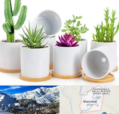 فروش گلدان سرامیکی در شمشک