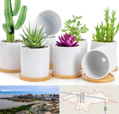 فروش گلدان سرامیکی در بندر ترکمن