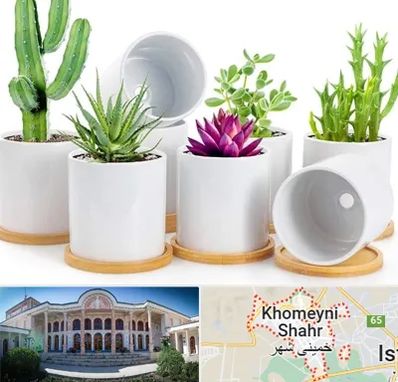 فروش گلدان سرامیکی در خمینی شهر