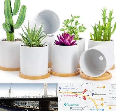 فروش گلدان سرامیکی در پارک وی 