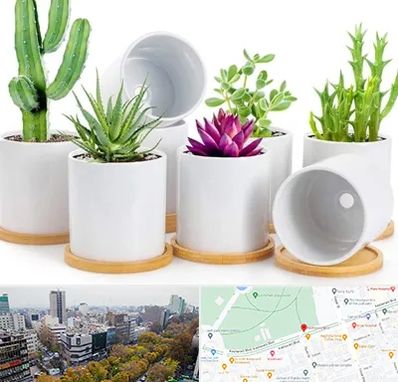 فروش گلدان سرامیکی در بلوار کشاورز 