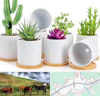 فروش گلدان سرامیکی در تالش