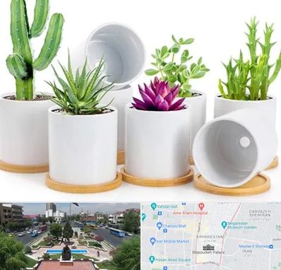 فروش گلدان سرامیکی در بهارستان 