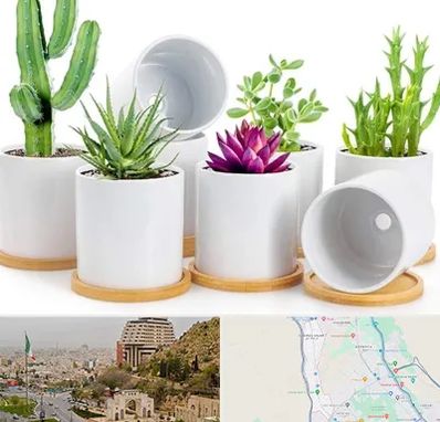 فروش گلدان سرامیکی در فرهنگ شهر شیراز 