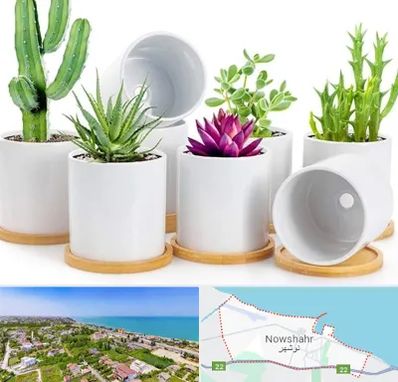 فروش گلدان سرامیکی در نوشهر