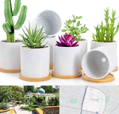 فروش گلدان سرامیکی در باغمیشه تبریز