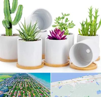 فروش گلدان سرامیکی در فریدونکنار