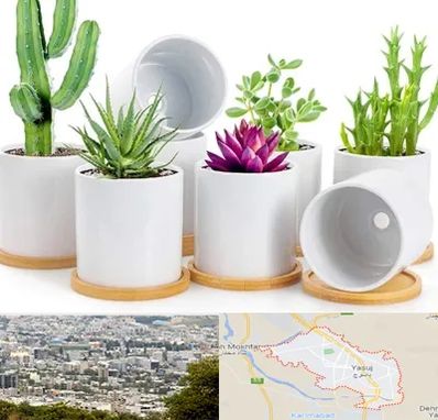 فروش گلدان سرامیکی در یاسوج