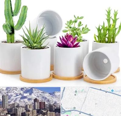 فروش گلدان سرامیکی در ازگل