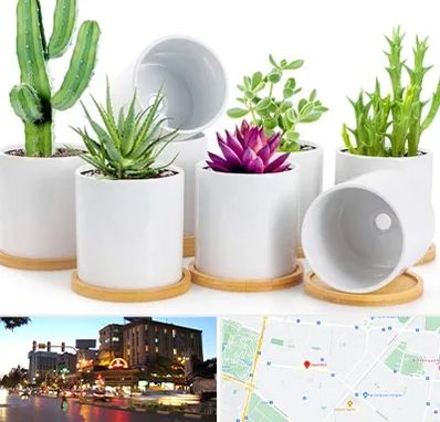 فروش گلدان سرامیکی در بلوار سجاد مشهد 