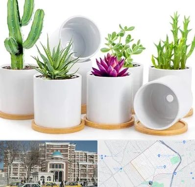 فروش گلدان سرامیکی در طلاب مشهد