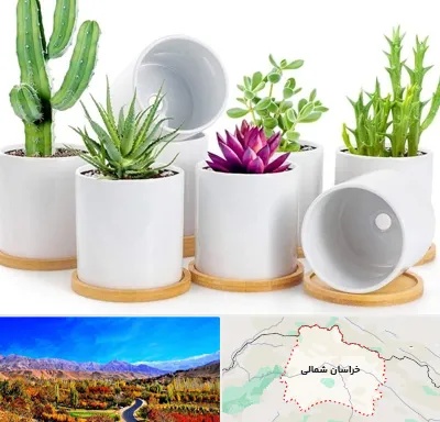 فروش گلدان سرامیکی در خراسان شمالی