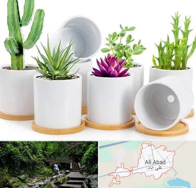 فروش گلدان سرامیکی در علی آباد کتول