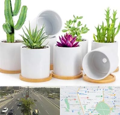 فروش گلدان سرامیکی در منطقه 17 تهران 