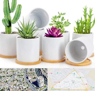 فروش گلدان سرامیکی در قاسم آباد مشهد 