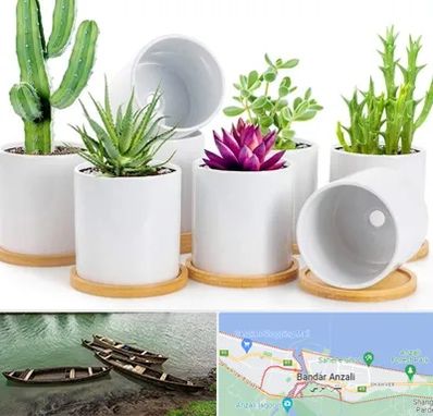 فروش گلدان سرامیکی در بندر انزلی