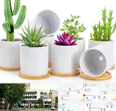 فروش گلدان سرامیکی در طالقانی 