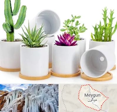 فروش گلدان سرامیکی در میگون