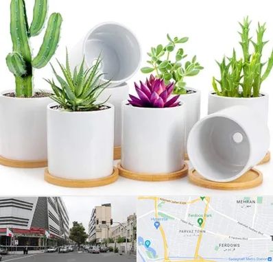 فروش گلدان سرامیکی در بلوار فردوس 