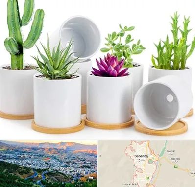 فروش گلدان سرامیکی در سنندج