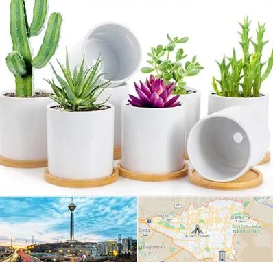 فروش گلدان سرامیکی در تهران