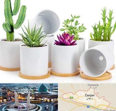 فروش گلدان سرامیکی در زنجان
