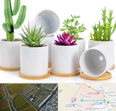 فروش گلدان سرامیکی در الهیه مشهد 