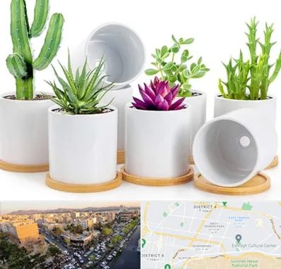 فروش گلدان سرامیکی در تهرانپارس 