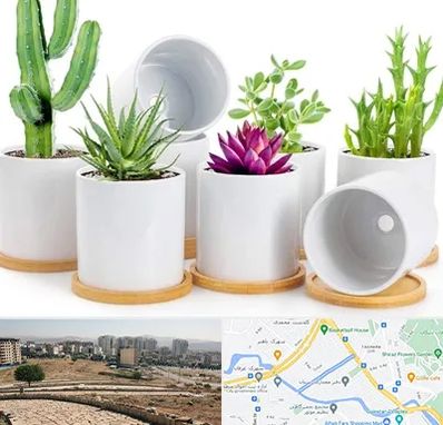 فروش گلدان سرامیکی در کوی وحدت شیراز 